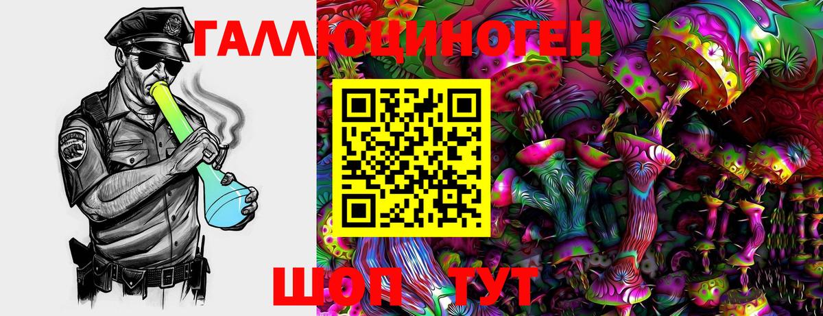 Галлюциногенные грибы Psilocybine cubensis Биробиджан